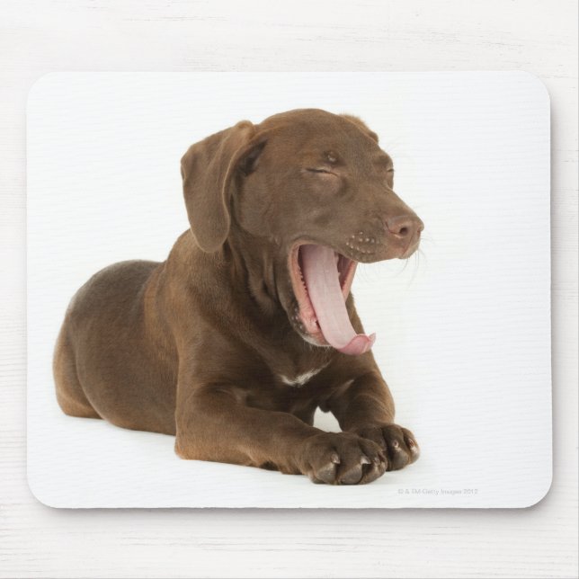 Mousepad Laboratório de Chocolate de Quatro Meses (Frente)