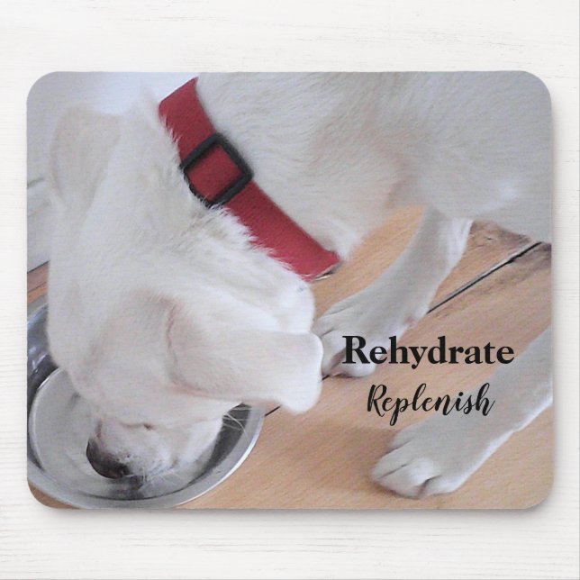 Mousepad Labrador Branco Cujo Cachorro Mistura Cachorro Beb (Frente)