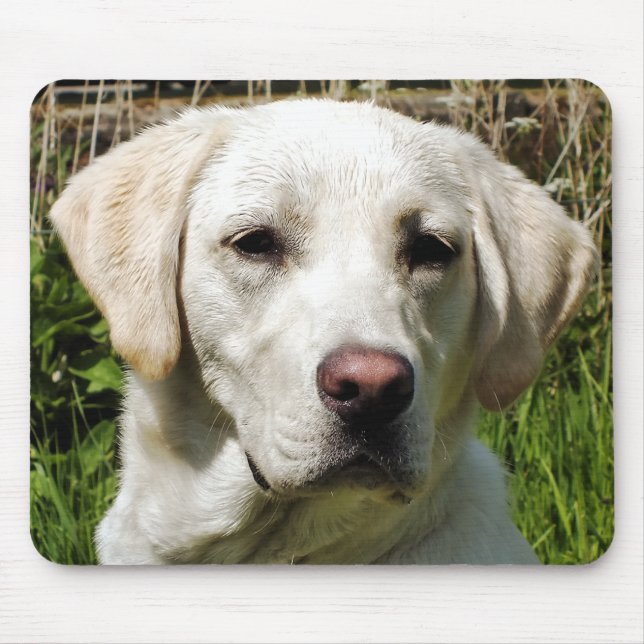 MOUSEPAD LABRADOR DOG (Frente)