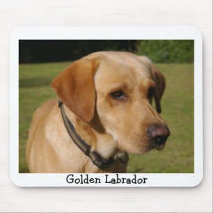 Mousepad Labrador dourado