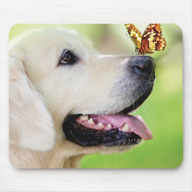Mousepad Labrador E Travesseiro decorativo De Borboleta (Frente)