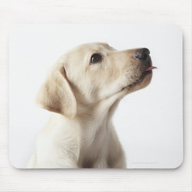 Mousepad Labrador louro filmando língua (Frente)