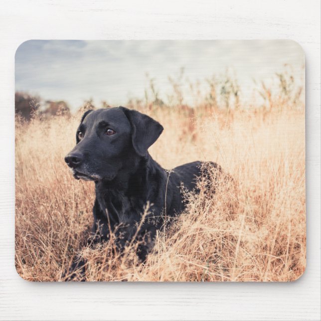 Mousepad Labrador Negro De Grama Seca (Frente)