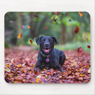 Mousepad Labrador Negro Em Folhas De outono