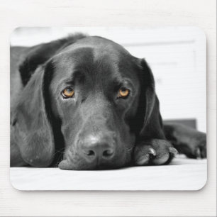 Mousepad Labrador preto