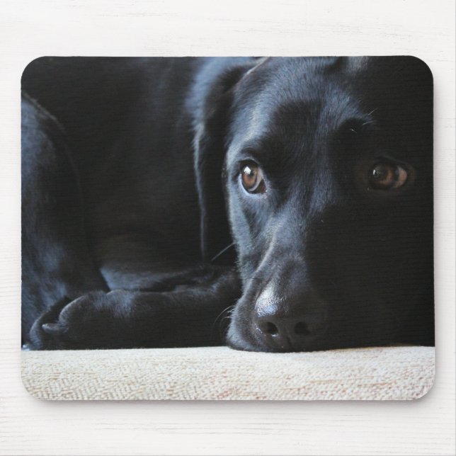 Mousepad Labrador preto (Frente)