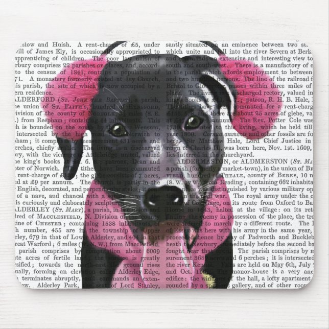 Mousepad Labrador Preto Com Malgas Oculares (Frente)