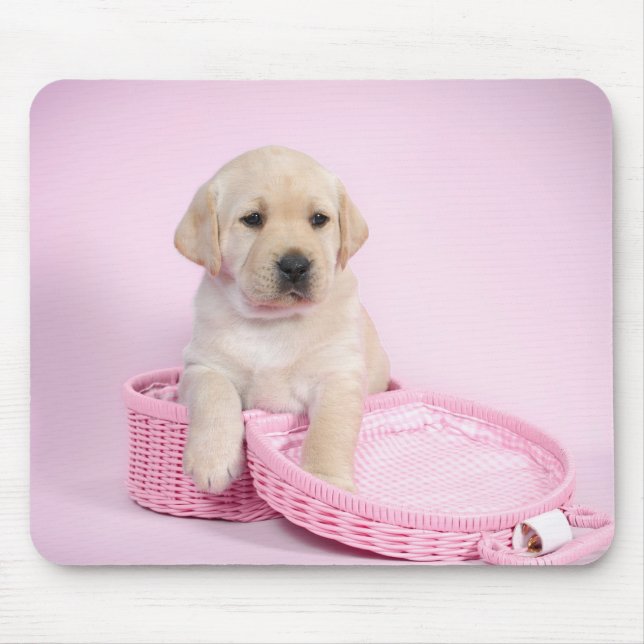 Mousepad Labrador recupera um cachorrinho rosa (Frente)