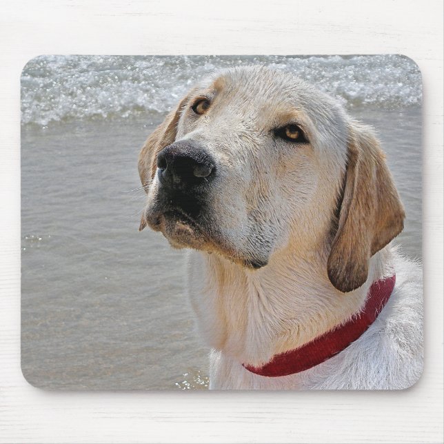 Mousepad Labrador Retriever (Frente)