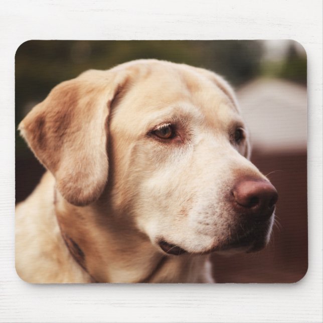 Mousepad Labrador Retriever (Frente)