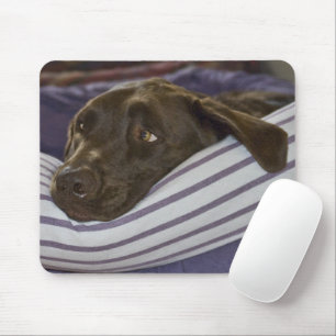 Mousepad Labrador Retriever Na Cama
