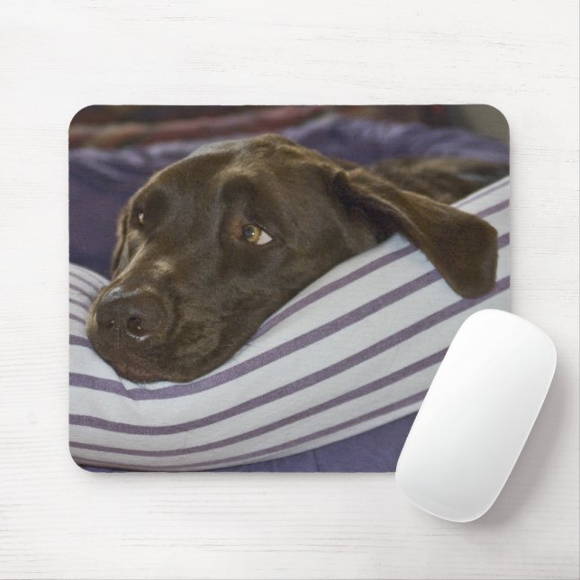 Mousepad Labrador Retriever Na Cama (Com mouse)