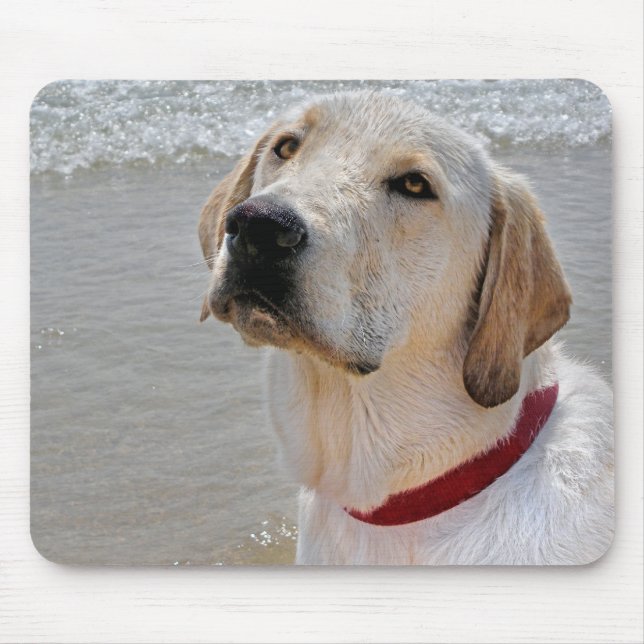 Mousepad Labrador Retriever na Praia (Frente)