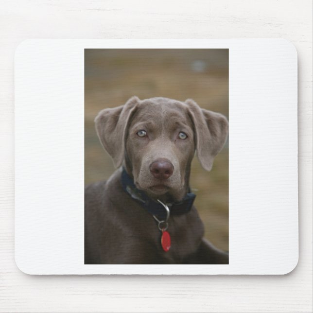 Mousepad Labrador retriever na prata clara rara (Frente)