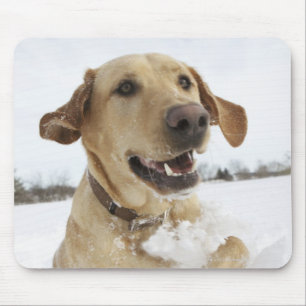 Mousepad Labrador retriever que salta através da neve