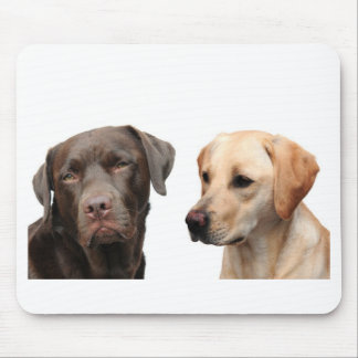 Mousepad labradors