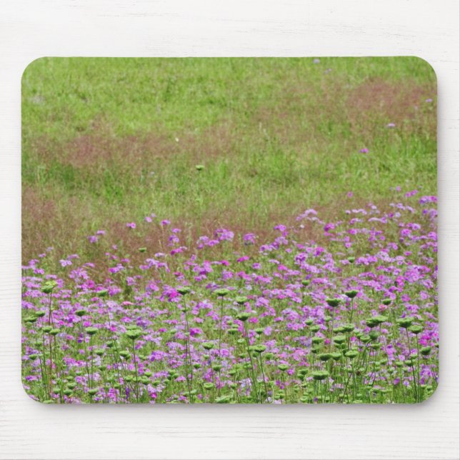 Mousepad Lace Daucus carota da Rainha Anne) (Frente)