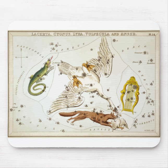 Mousepad Lacerta - Constelação - Horoscópio - Zodiac (Frente)