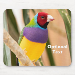 Mousepad Lady Gouldian Finch