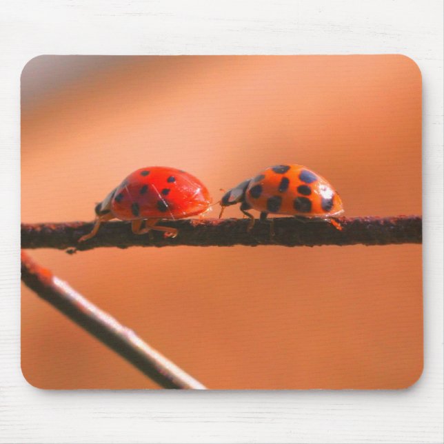 Mousepad Ladybug Buddies Nature (Frente)