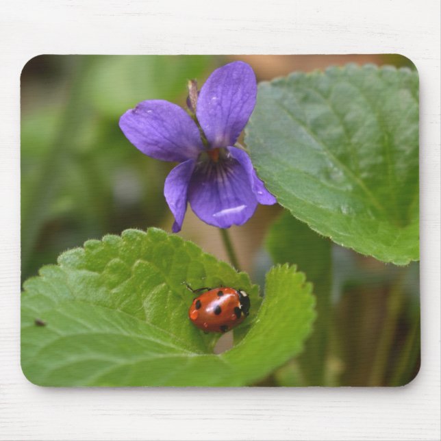 Mousepad Ladybug em Flores de Violeta Doce (Frente)