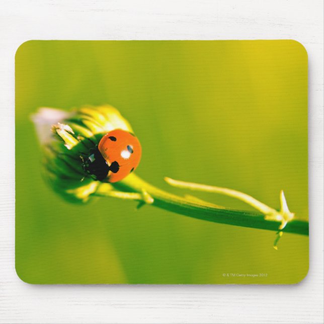 Mousepad Ladybug na primavera (Frente)