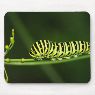 Mousepad Lagarta, borboleta, coroa