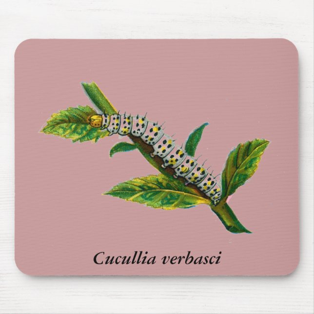 Mousepad Lagarta-da-cucullia verbasci (Frente)