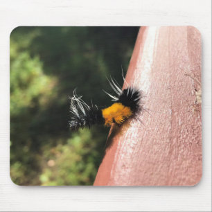 Mousepad Lagarta dançante