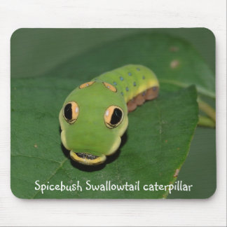 Mousepad Lagarta de Spicebush Swallowtail