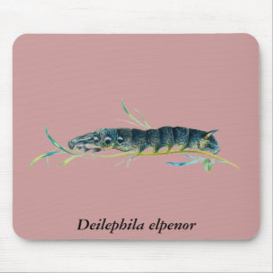 Mousepad Lagarta-do-elpeno