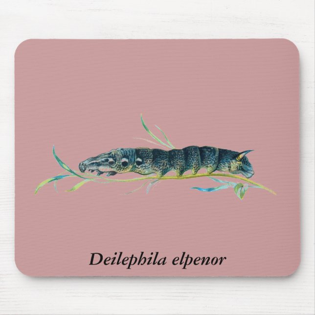 Mousepad Lagarta-do-elpeno (Frente)