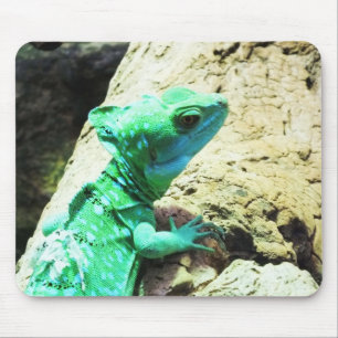 Mousepad Lagarto basilisco verde