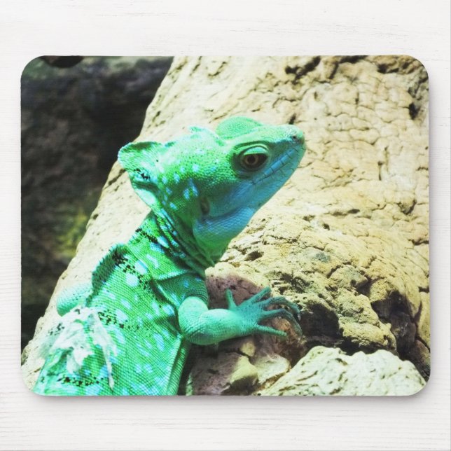 Mousepad Lagarto basilisco verde (Frente)