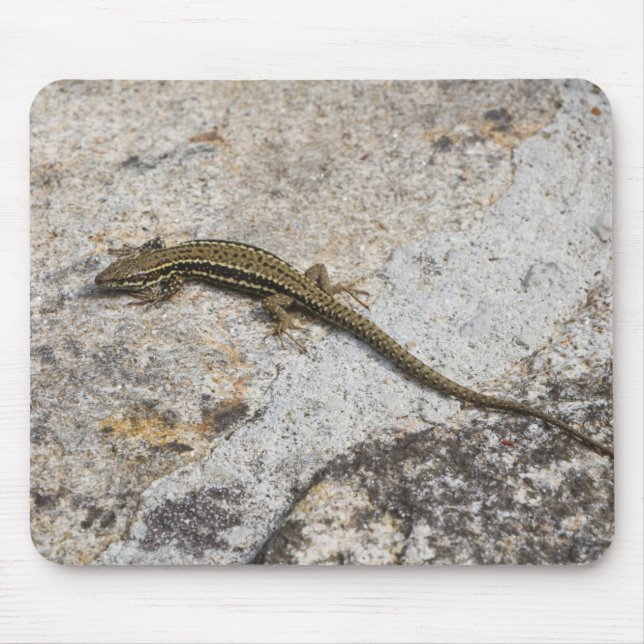 Mousepad Lagarto comum (Frente)