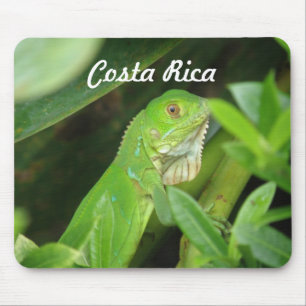 Mousepad Lagarto de Rican da costela