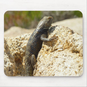 Mousepad Lagarto Espinhoso de Dorso Amarelo em Joshua Tree