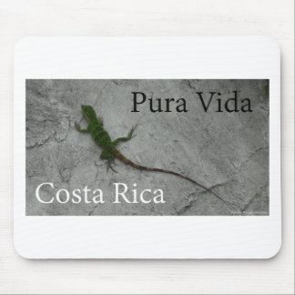 Mousepad Lagarto na parede de pedra em Costa Rica Pura