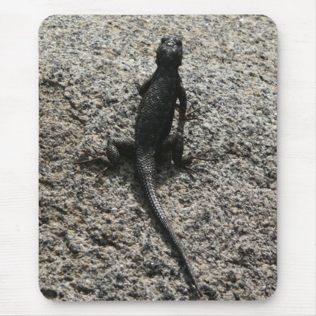 Mousepad Lagarto Preto (Frente)