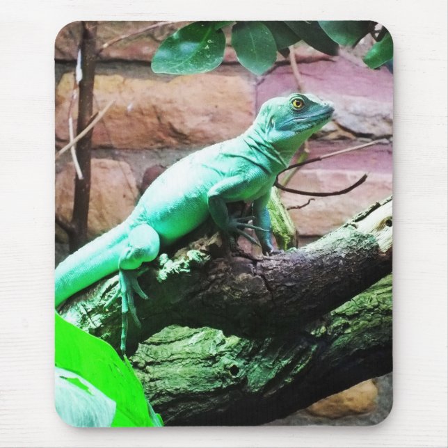 Mousepad Lagarto verde (Frente)