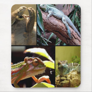 Mousepad Lagartos da lagartixa e camaleões