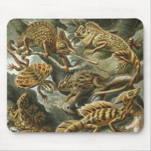 Mousepad Lagartos por Ernst Haeckel Vintage Lacertilia Anim
