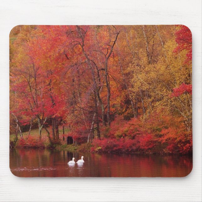 Mousepad Lago autumn (Frente)