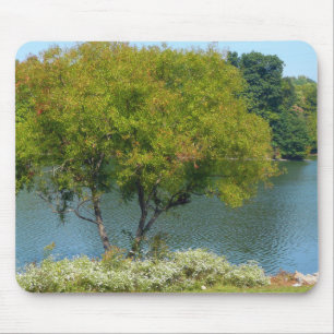 Mousepad Lago Centenário em Ellicott, Maryland