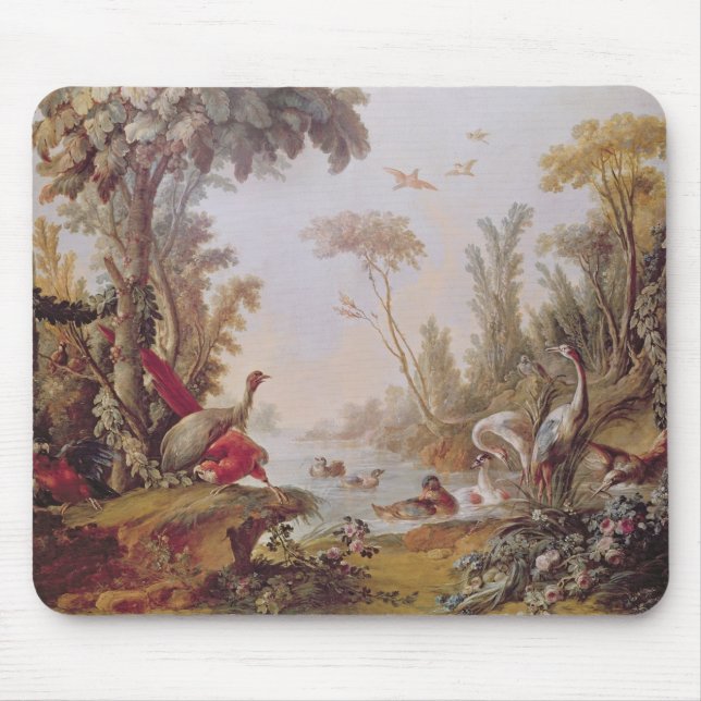 Mousepad Lago com gansos, cegonhas, papagaios e (Frente)