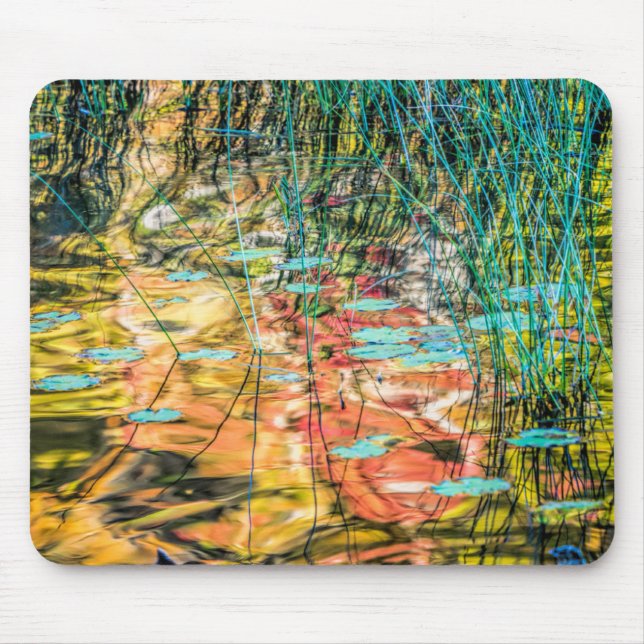 Mousepad Lago Council em Hiawatha National Forest, Michigan (Frente)