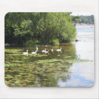 Mousepad Lago swan