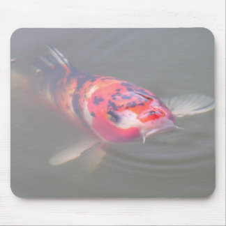 Mousepad Lagoa de Koi