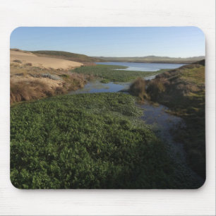 Mousepad Lagoa I de Abbotts na costa nacional de Point Reye