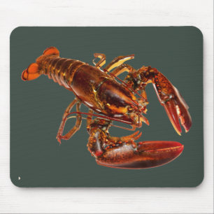 Mousepad Lagosta